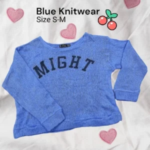 Women Blue Knitwear Preloved Crop Top